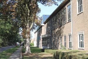 Vestersbos; woningbouw of onderwijshuisvesting?